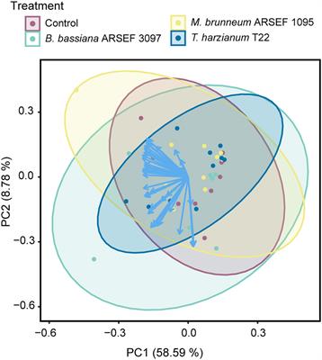 Limited effects of plant-beneficial fungi on plant volatile composition and host-choice behavior of Nesidiocoris tenuis